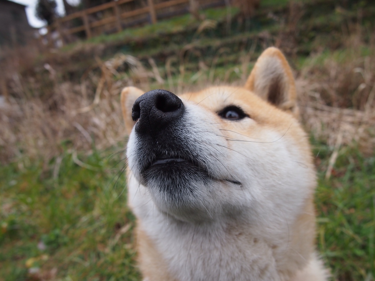 爱游戏app安装-中超联赛关键战复盘报告，中超联赛重启