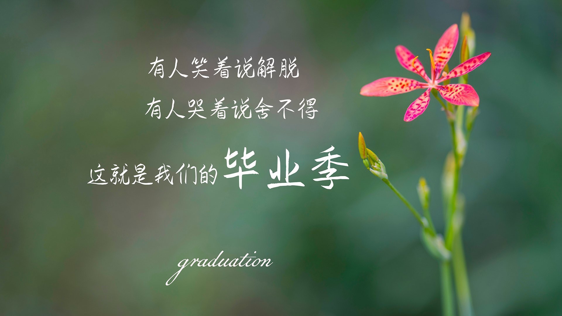 爱游戏ayx-奥格斯堡赢得保级之战，士气大增，奥格斯堡总汇报