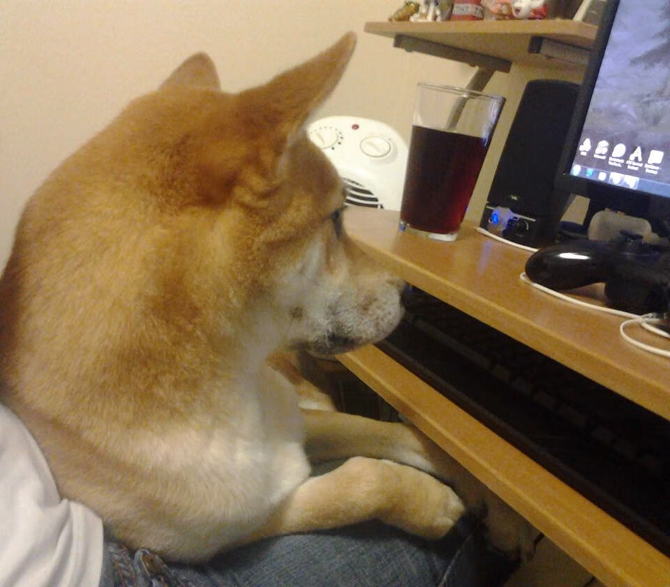 节奏变化能否打乱对手防守部署,节奏打击