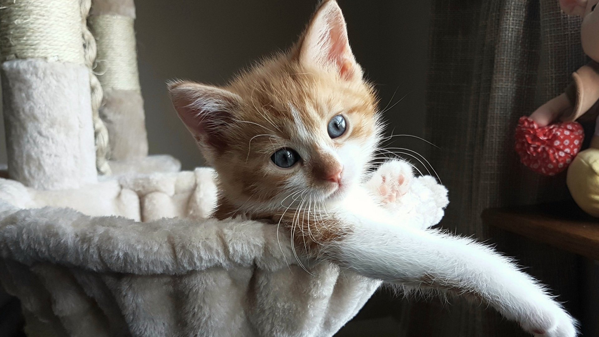 爱游戏官网-排球联赛总决赛即将打响，排球总决赛有几局