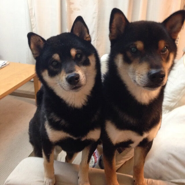 爱游戏官网充值-赛尔·阿尔斯塔：从攻守转换中展现南非队的独特魅力，阿尔纳塞尔